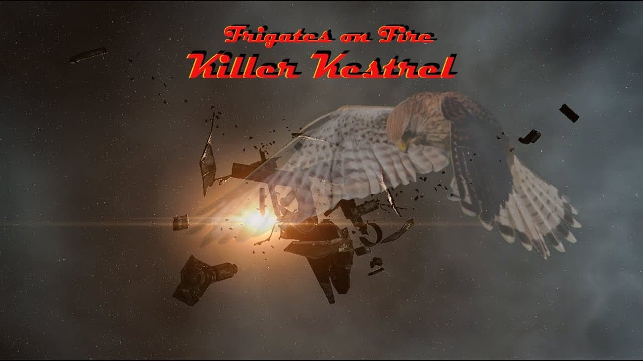 Killer Kestrel - Lowsec solo PvP