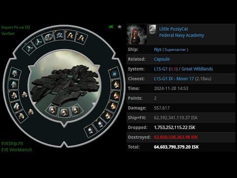 [EVE ONLINE / AMC] 28 NOV 2024 Killed Nyx in Great Wildlands