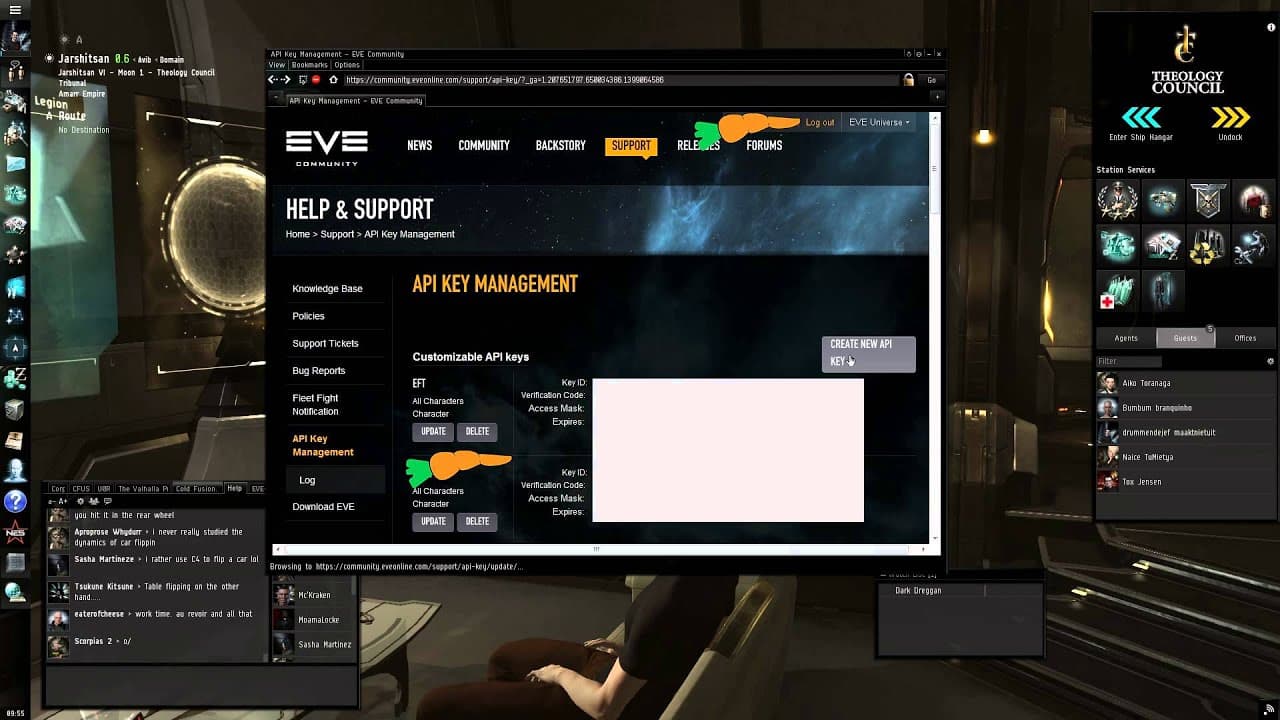 EVE Online - what is an API & how to set it up