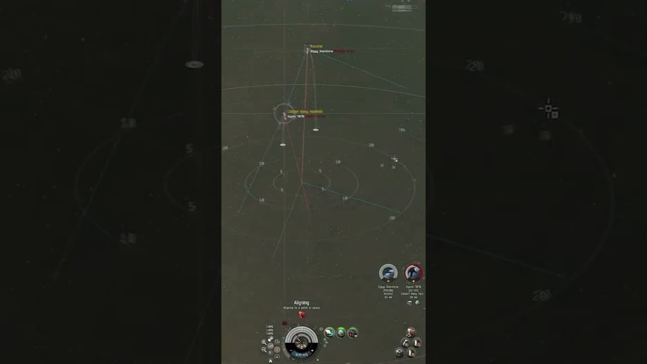 Caldari Navy Hookbill Fight Factional Warfare