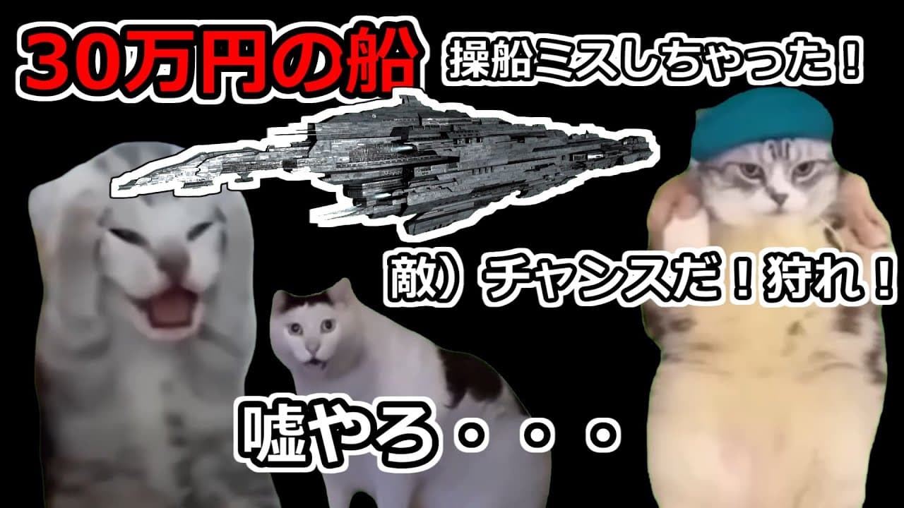 【猫ミーム】クリックミスしたら宇宙大戦争が起こったお話【EVE Online】 #猫ミーム