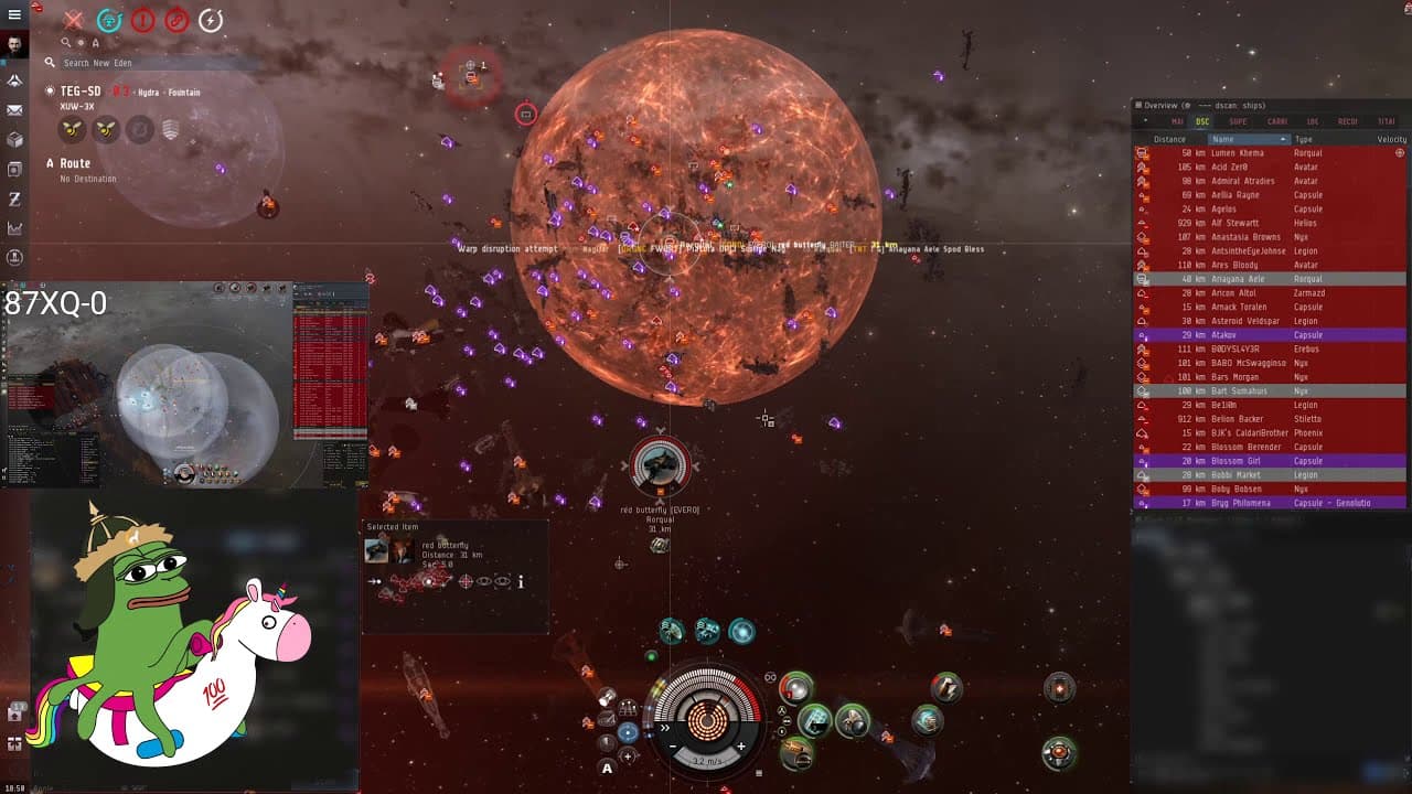 "No rorquals have ever died on a locust fleet"